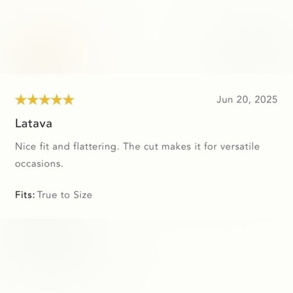 NWT Size L -Anthropologie Sleeveless V-Neck Lace Slip Midi Dress (NWT US$ 178) - Picture 14 of 17